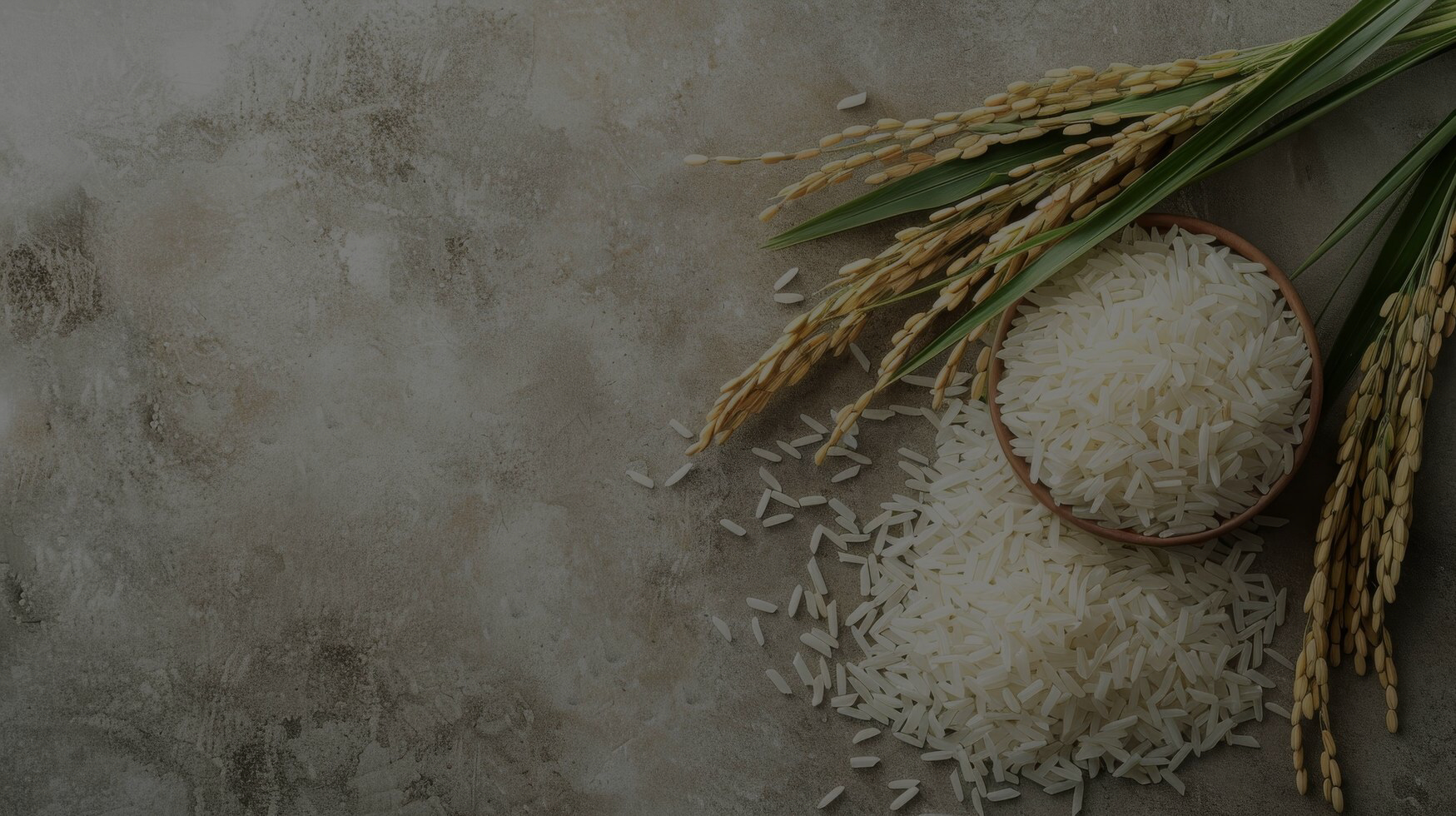rice (1)